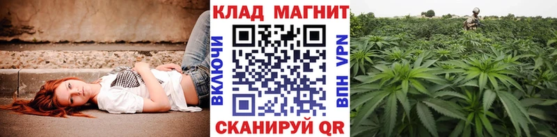Наркошоп купить СОЛЬ  Псилоцибиновые грибы  ГАШИШ  Мефедрон  Орлов