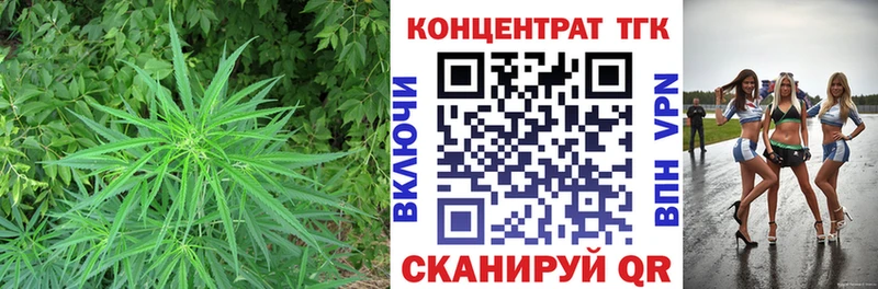 ТГК гашишное масло  Купить  Орлов 