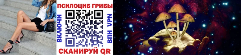 Псилоцибиновые грибы Magic Shrooms  Купить где  Орлов 